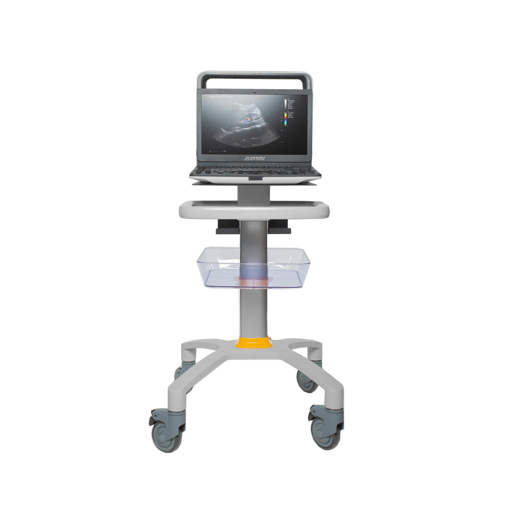 Портативный УЗИ аппарат EVORAY USP 70