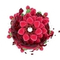 Картридж SOAK Q Raspberry Soda / Малиновая газировка