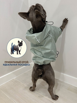 Универсальная куртка дождевик для собак Монморанси, цвет олива, размер L