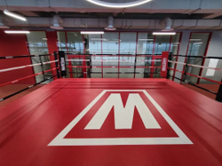 Ринг боксерский TARGEX на помосте высотой 1 м