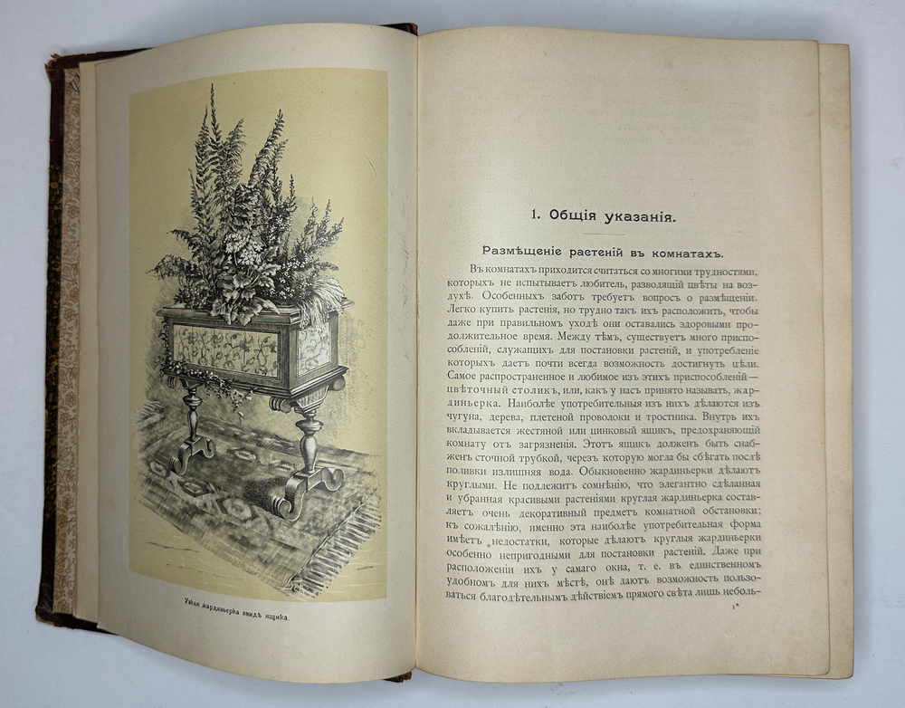 Гесдерфер М. Комнатное садоводство. СПб. Изд. Девриена, 1898г.