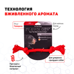 Playology жевательный канат DRI-TECH ROPE для собак мелких пород с ароматом говядины, маленький, цвет красный
