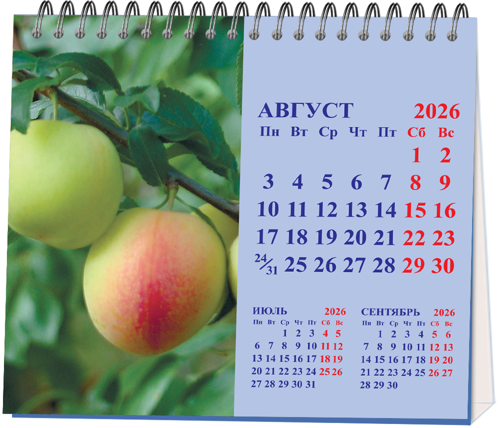 Календарь настольный "домик" на 2026 год, "Времена года"