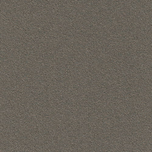 Ковровая плитка Modulyss Eco100 C 817