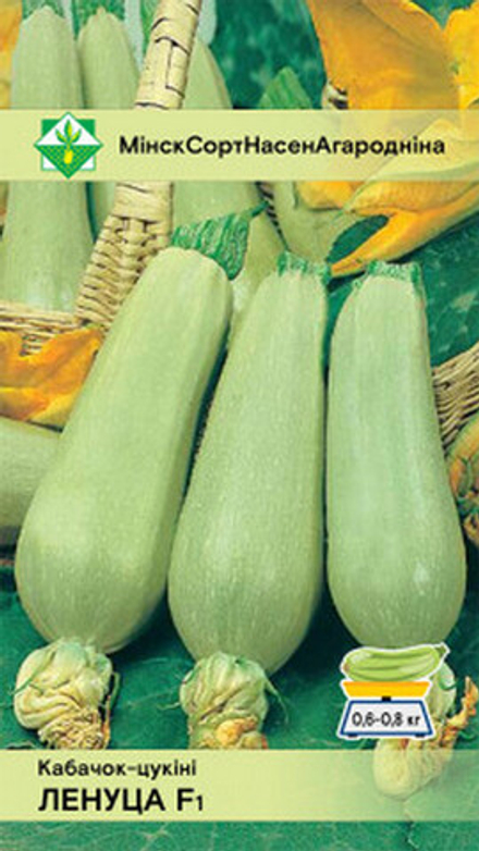 Кабачок "Ленуца F1" 10шт, Молдова.