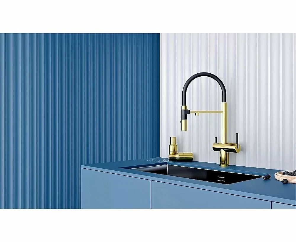 Смеситель для кухни Paulmark Gravity Gr213888-G золото