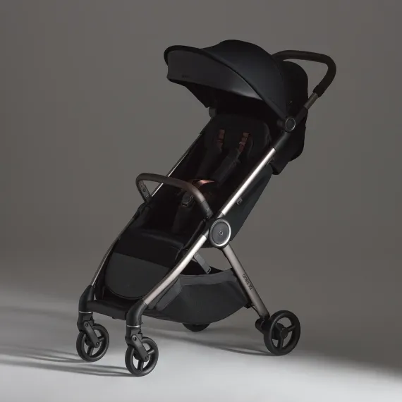 Коляска ANEX iQ Premium 2 в 1 Starless