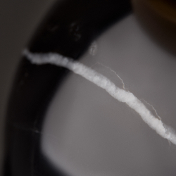 Настольный светильник Freya FR5288TL-01B1