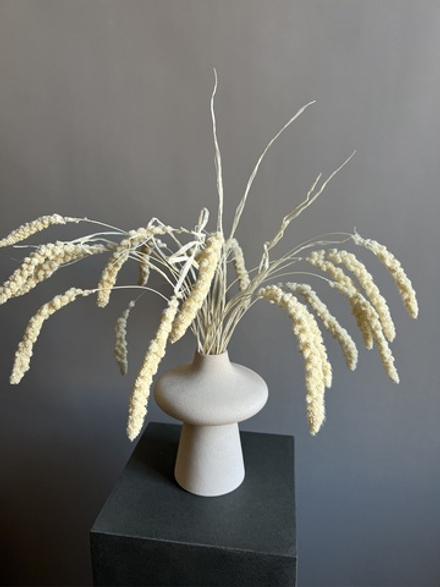 Сетария молочная