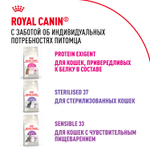 Royal Canin Savour Exigent Сэйвор Экзиджент Корм сухой для взрослых кошек привередливых ко вкусу 400г