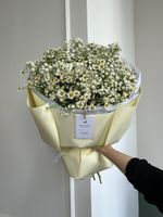Букет сборный из гипсофилы и ромашки