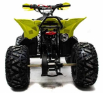 Квадроцикл MOTOLAND 125 Raptor