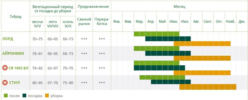 Айронмен F1 семена капусты брокколи (Seminis / Семинис)