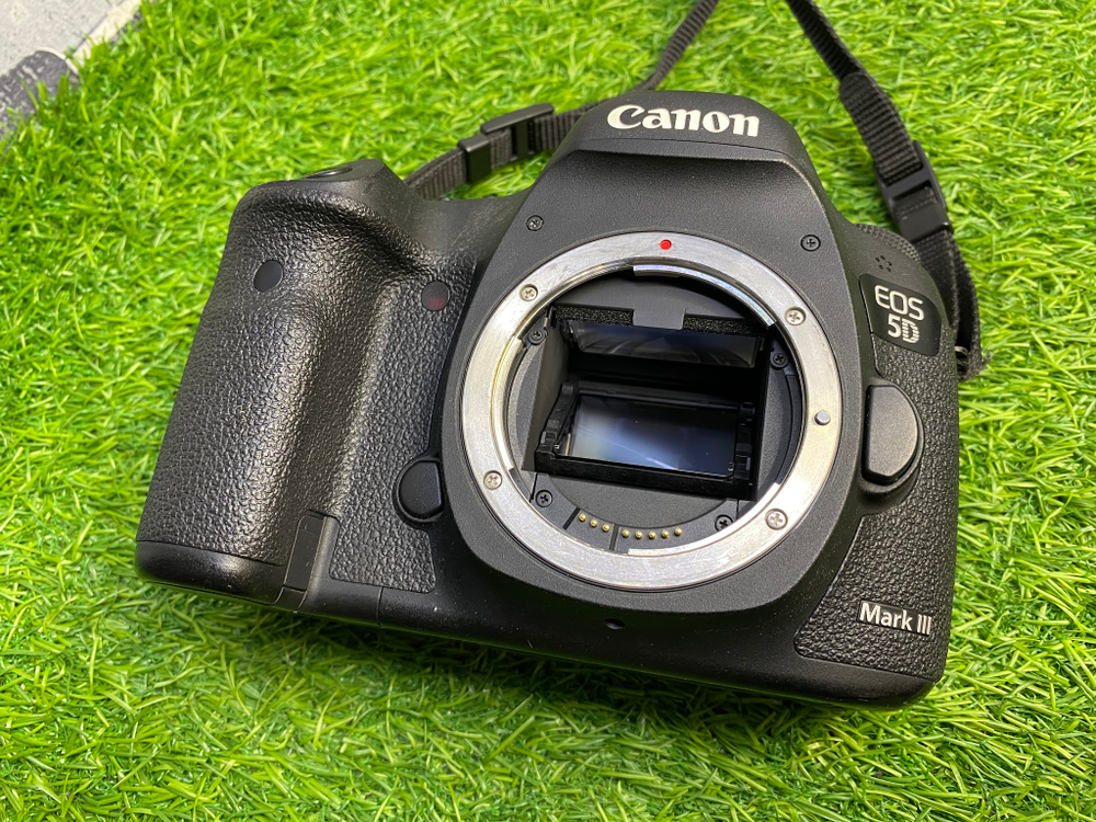 Canon EOS 5D Mark III (18.600 кадров)