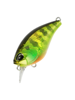 Воблер DUO Realis Crank Mid Roller 40 F, AOA3503 Komochi Gill, 40 мм, 5,3 г, плавающий, крэнк