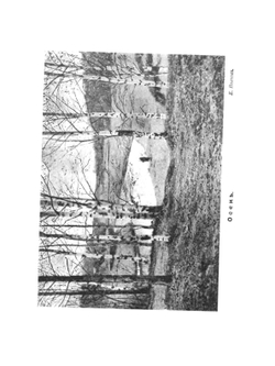 Живое слово. Книга для изучения родного языка. Часть II | А.Я. Острогорский