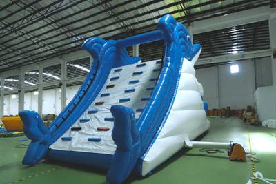 Водная надувная горка «Умный дельфин», 10*4*5 м