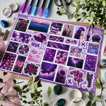 PACK VIOLET