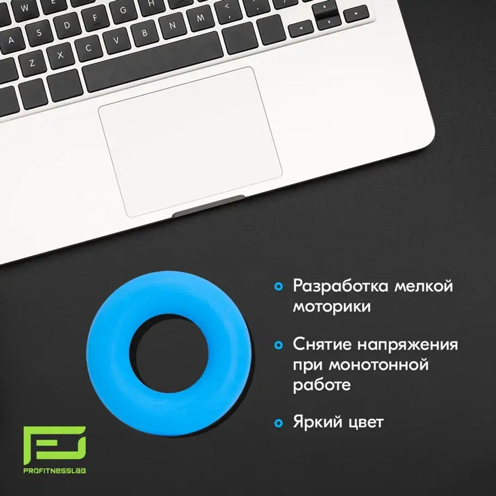 ЭСПАНДЕР КИСТЕВОЙ PROFITNESSLAB 10 КГ