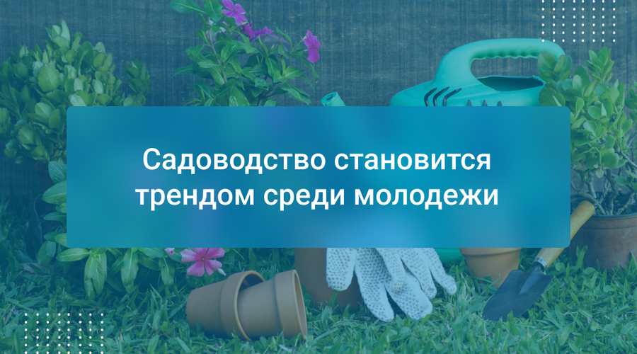 Садоводство становится трендом среди молодежи