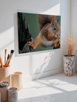 Картина на стену 40 X 50 Белка