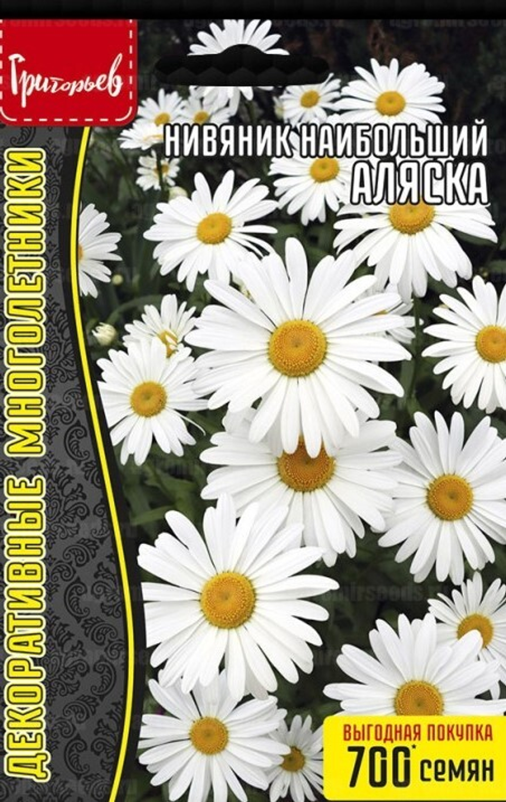 Нивяник наибольший Аляска