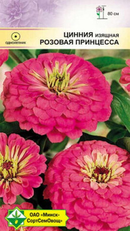 Цинния изящная георгиноцветная "Розовая принцесса" 0.5г., Германия.