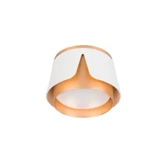 Потолочный светильник Arte Lamp AMAKS A8028PL-1WH