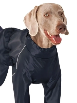 Комбинезон дождевик для собак средних и крупных пород