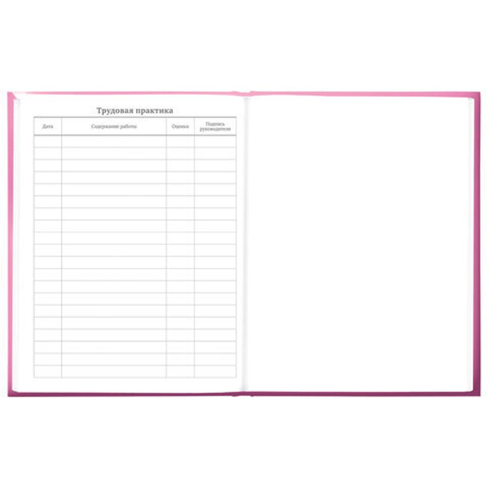 Дневник 5-11 класс 48 л., твердый, BRAUBERG, выборочный лак, с подсказом, "Brings Joy", 107194