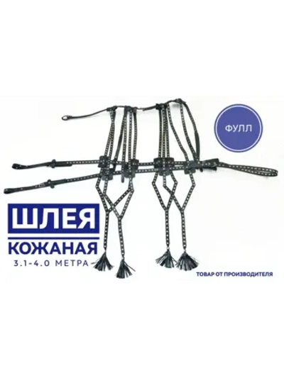 Шлея украшенная из кожи для средней лошади 3.1-4 метра