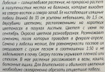 Лобелия Бисер, смесь ампельная 0,01 г СМЦ-26