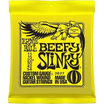 10 46 ERNIE BALL 2221 Nickel Wound Slinky