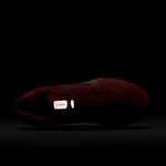 FJ9509-600 Кроссовки NIKE AIR WINFLO 11