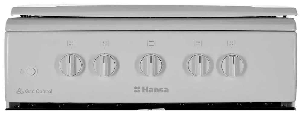 Газовая плита Hansa FCGW510009