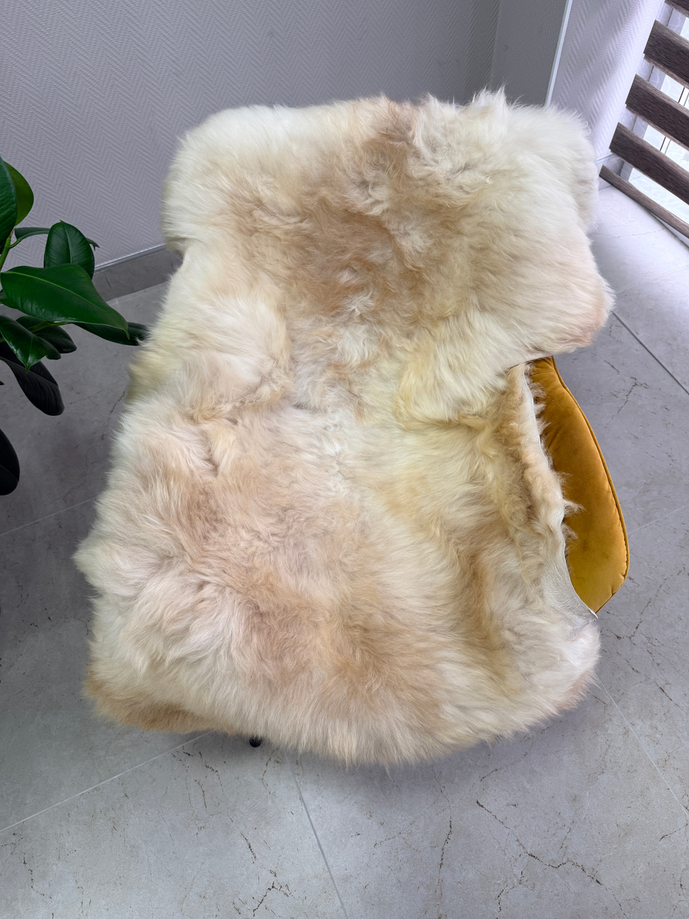 Шкура коврик меховой прикроватный овчина, 120х65 см.