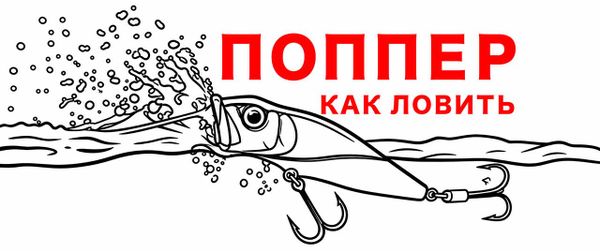 Как ловить на попперы: ТОП-5 и секреты ловли щуки и окуня на воблеры