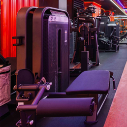 E7001 Сгибание ног лежа. Стек 110 кг