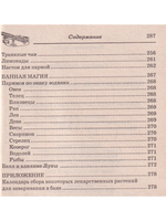 Целебные свойства бани и сауны