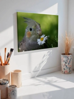 Картина на стену 40 X 50 Попугай