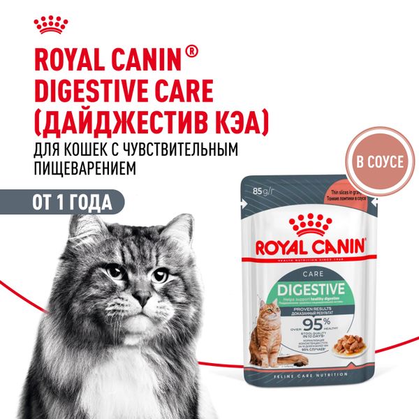 Пауч Royal Canin Digestive Care для взрослых кошек с чувствительным пищеварением, тонкие ломтики в соусе