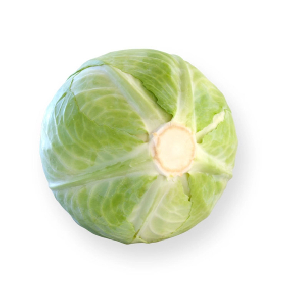 АНКОМА_рз_F1_семена_капусты_белокочанной_Rijk_Zwaan_семена – фото 3