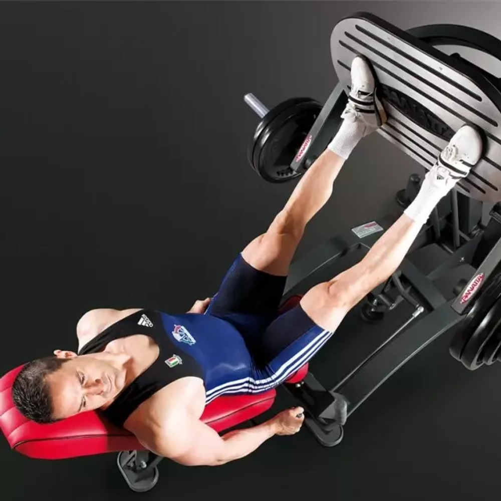 Силовой тренажер PANNATA Freeweight High Performance LEG PRESS BRIDGE 1HP583