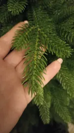 Ель искусственная «Юлия» (Литая хвоя) от 1,2 м до 3 м