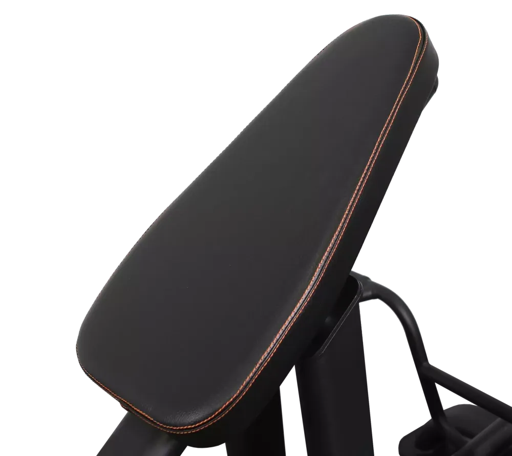 Т-образная профессиональная тяга BRONZE GYM PL-1718