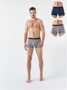 Набор мужских боксеров TMS2-9173/1