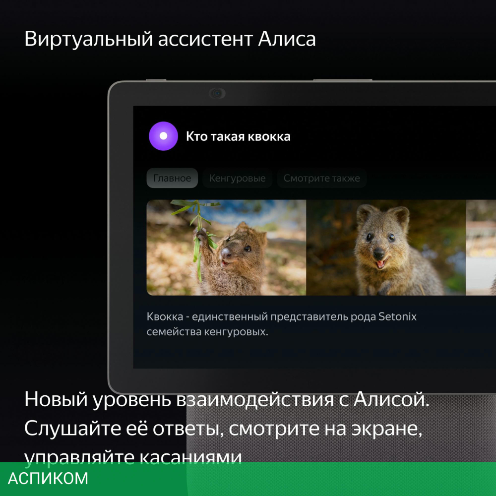 Умная колонка Яндекс Станция Дуо Макс (YNDX-00055BIE)