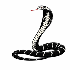 Cobra