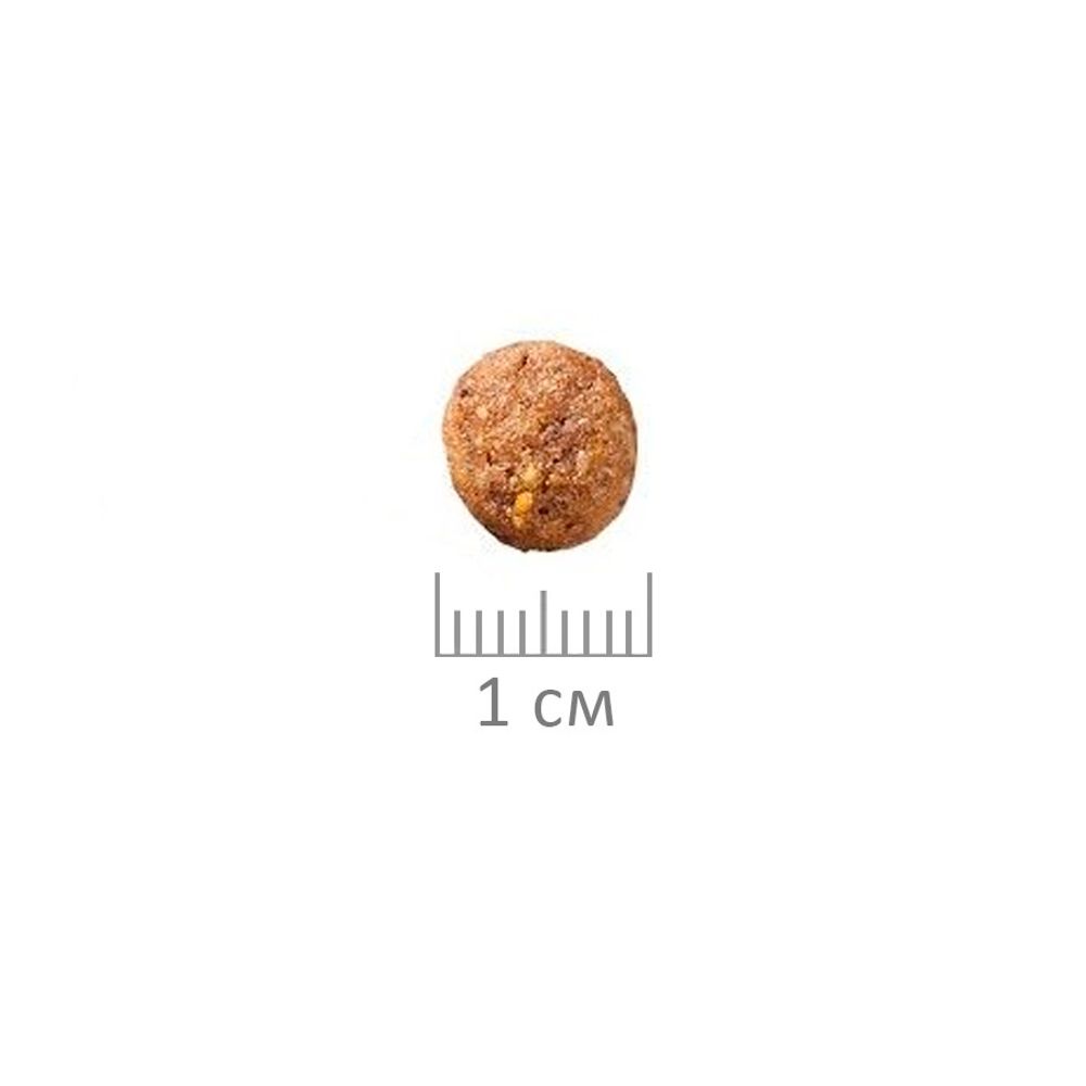 Сухой корм ProBalance Gourmet Diet для взрослых кошек с говядиной и ягненком Сухой корм ProBalance Gourmet Diet для взрослых кошек с говядиной и ягненком