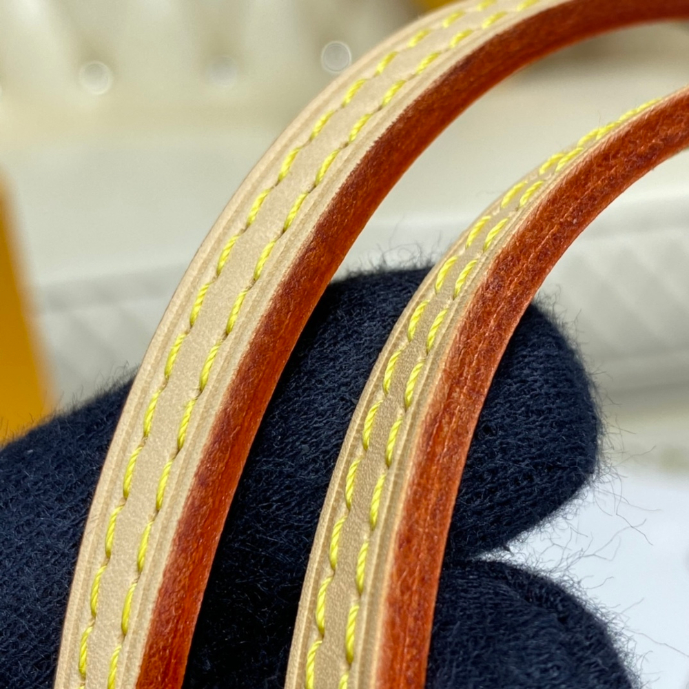 Louis Vuitton Neverfull PM